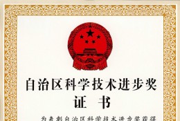长距离输调水工程大口径FRPM管道研发与安全保障技术